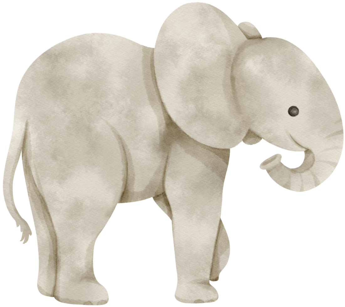 söt elefant akvarell illustration png
