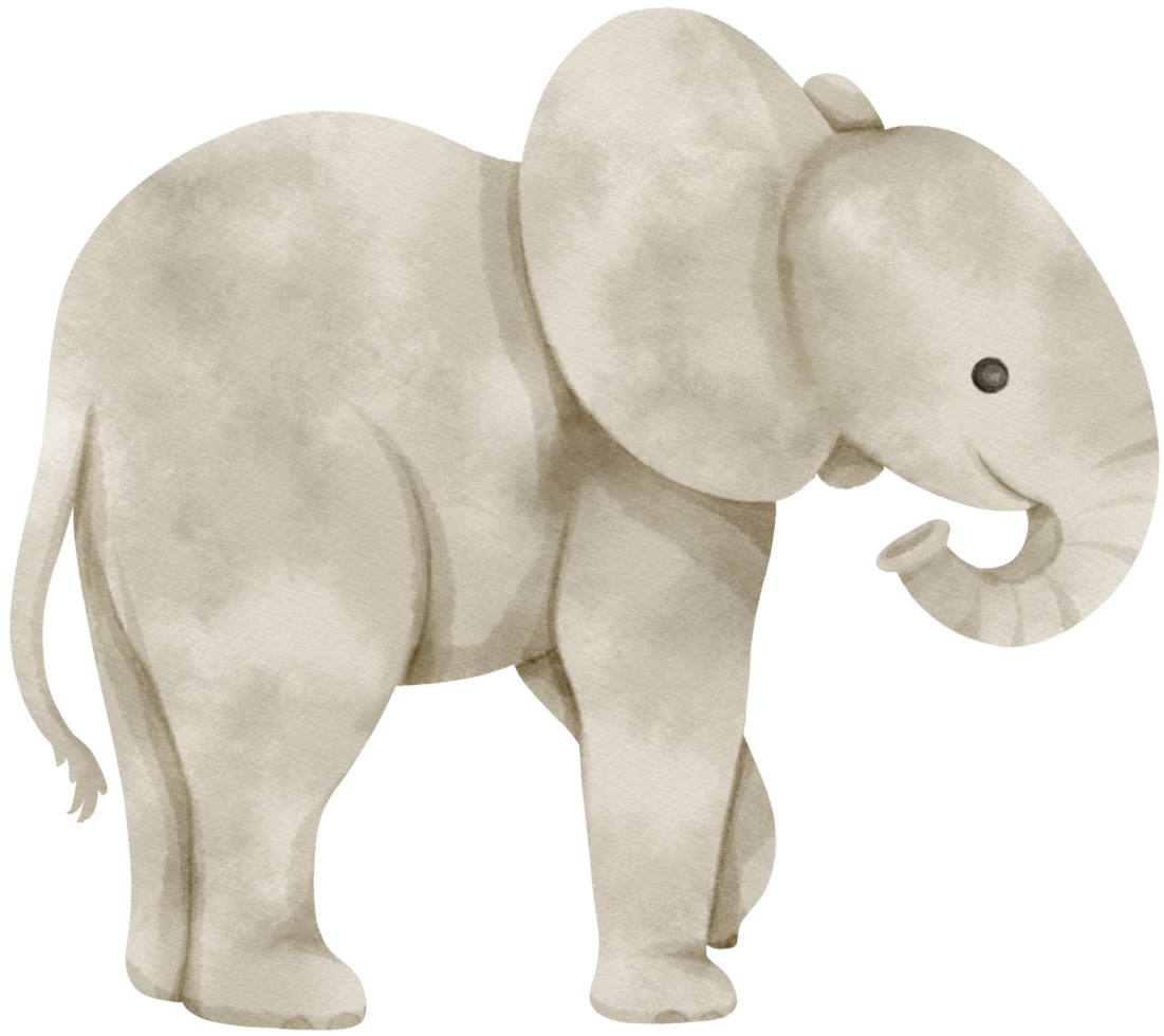 illustrazione dell'acquerello dell'elefante carino png