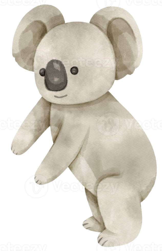 lindo koala de acuarela png