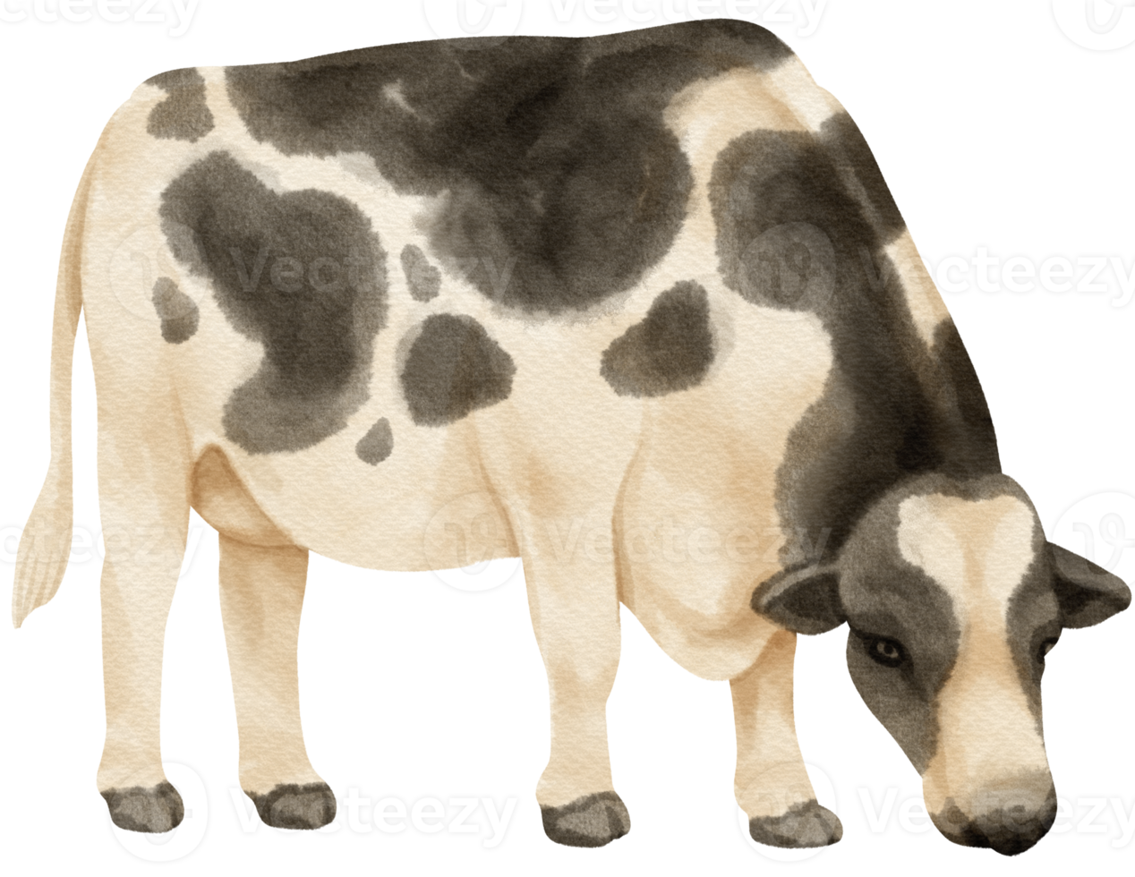 animali da fattoria dell'acquerello della mucca png