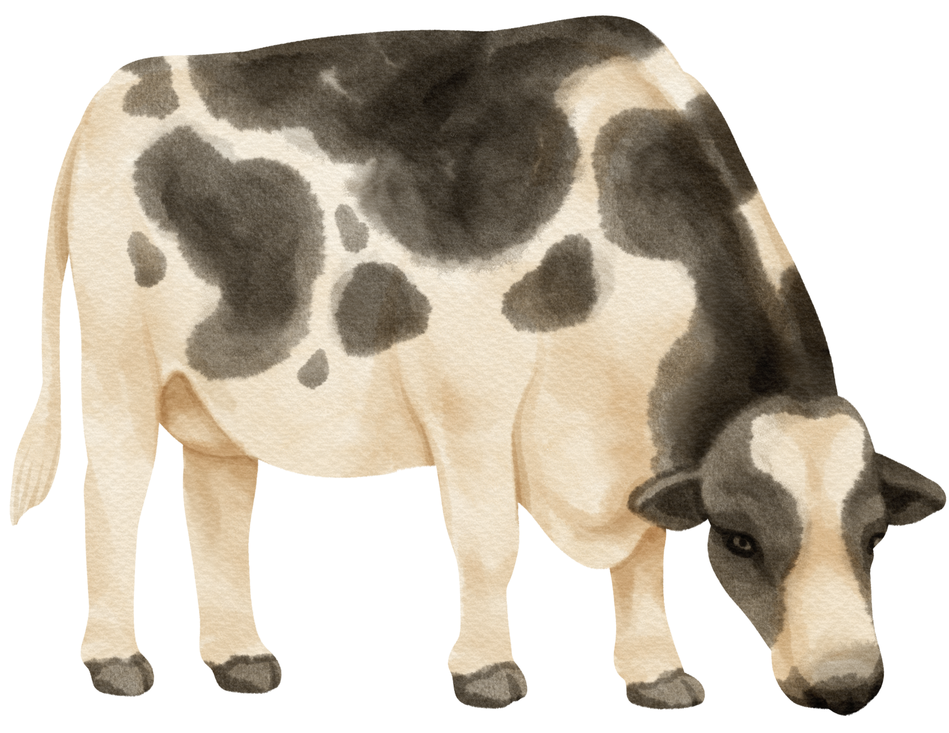 Free Cow watercolor farm animals 9373196 PNG with Transparent Background Free Cow watercolor farm animals 9373196 PNG with Transparent Background