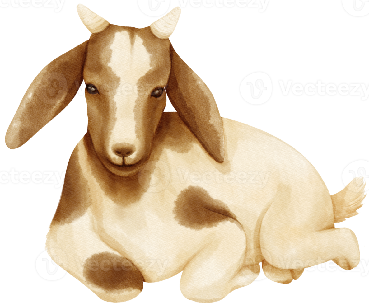 Goat watercolor farm animals png