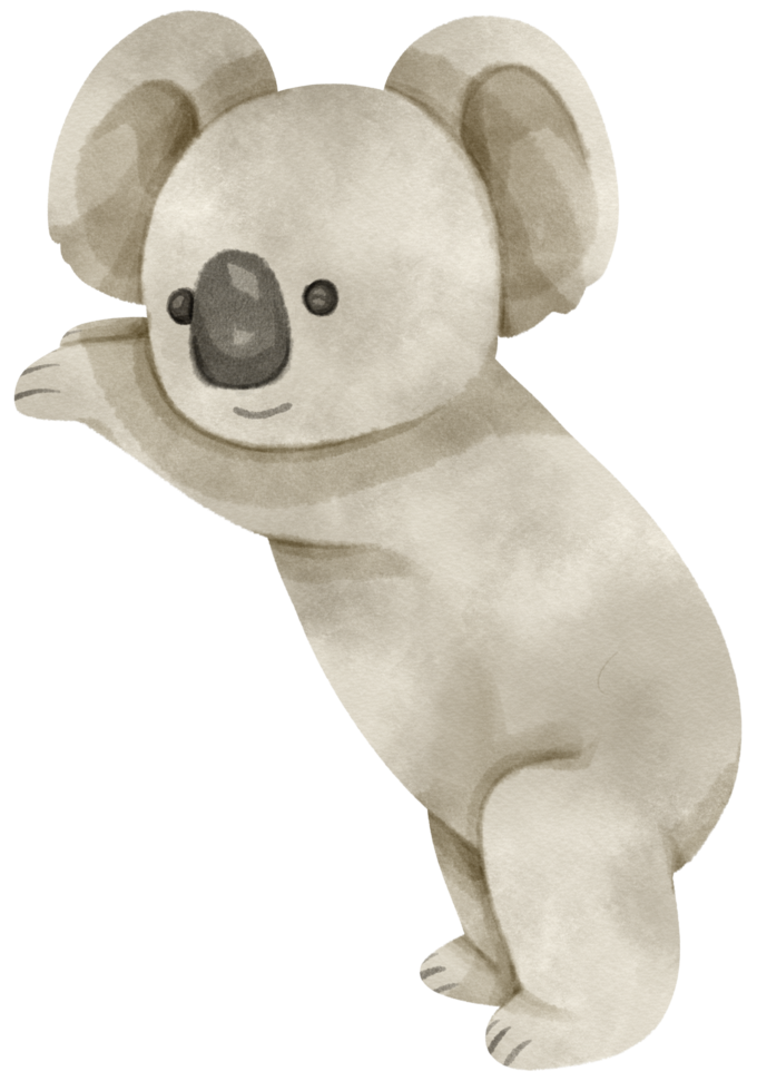 Cute Watercolor Koala png