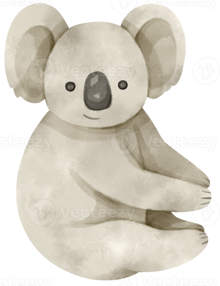 simpatico koala dell'acquerello png