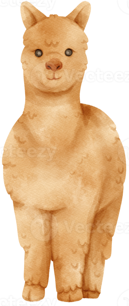 Alpaka-Aquarell-Nutztiere png