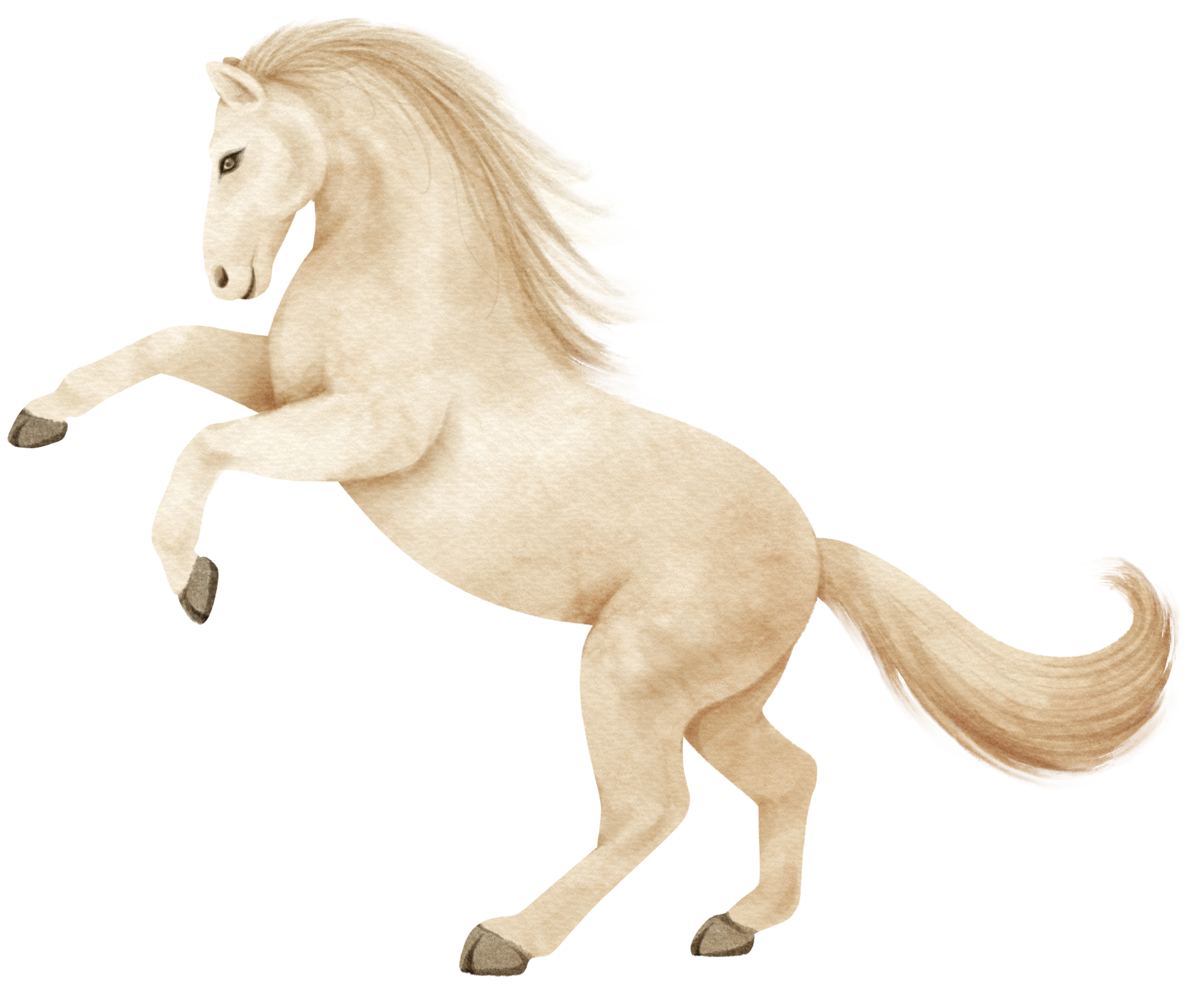 Cavalo, Branco, Scalable Vector Graphics png transparente grátis