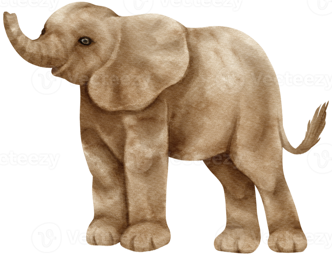 Afrikaanse olifant dieren in het wild dieren aquarel illustratie png