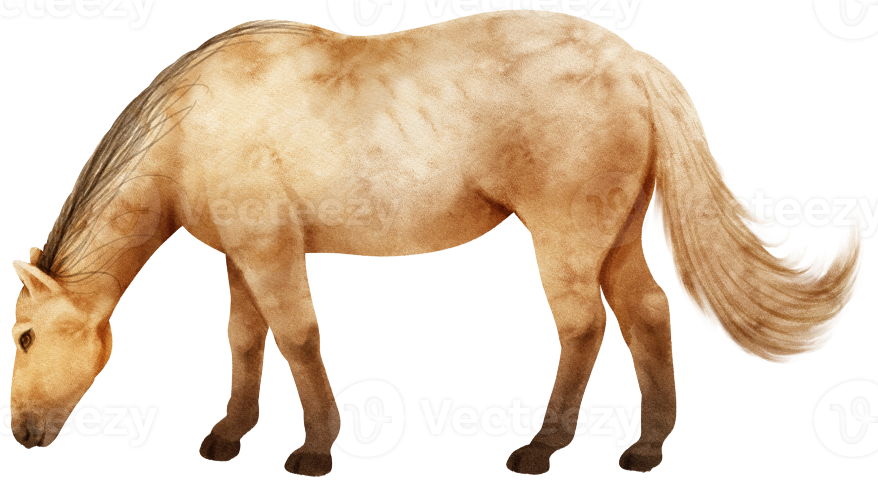Brown Horse watercolor illustration 9373368 PNG