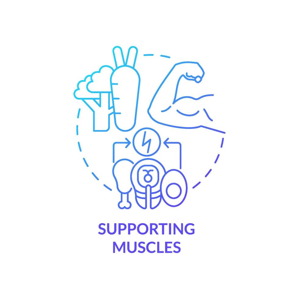 Supporting muscles blue gradient concept icon. Building muscle mass. Healthy diet advantages abstract idea thin line illustration. Isolated outline drawing. vector