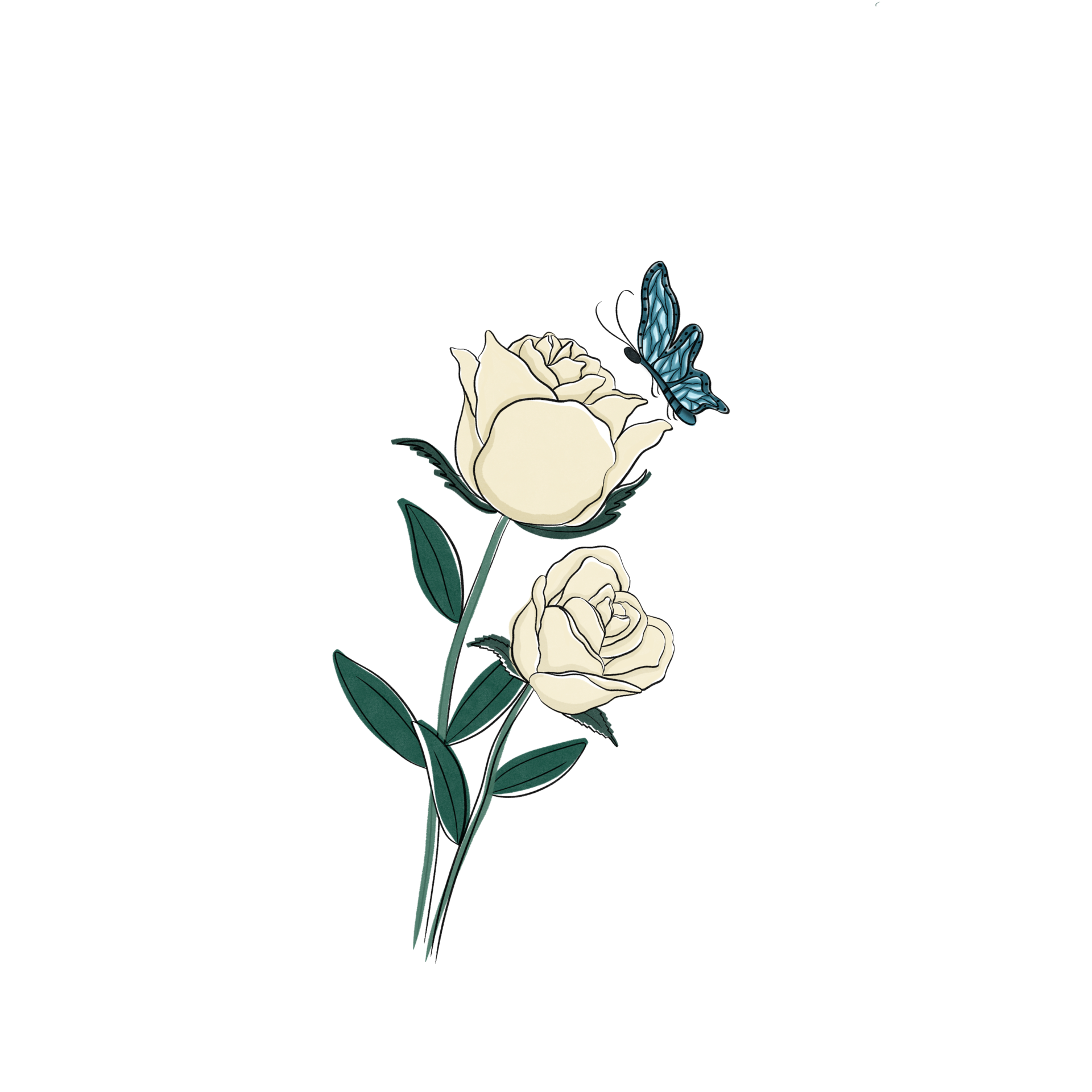 Free White Rose with Butterfly 9374200 PNG with Transparent Background Free White Rose with Butterfly 9374200 PNG with Transparent Background