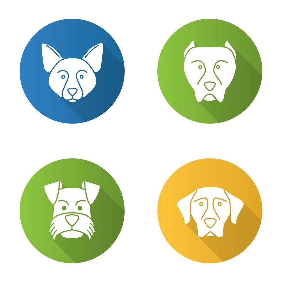Dogs breeds flat design long shadow glyph icons set. Border Collie, pit bull, Miniature Schnauzer, German Shorthaired Pointer. Vector silhouette illustration