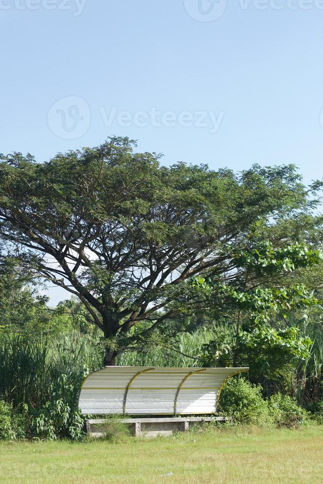 Entrenador y bancos de reserva bajo un árbol gigantesco en el antiguo campo de hierba. foto