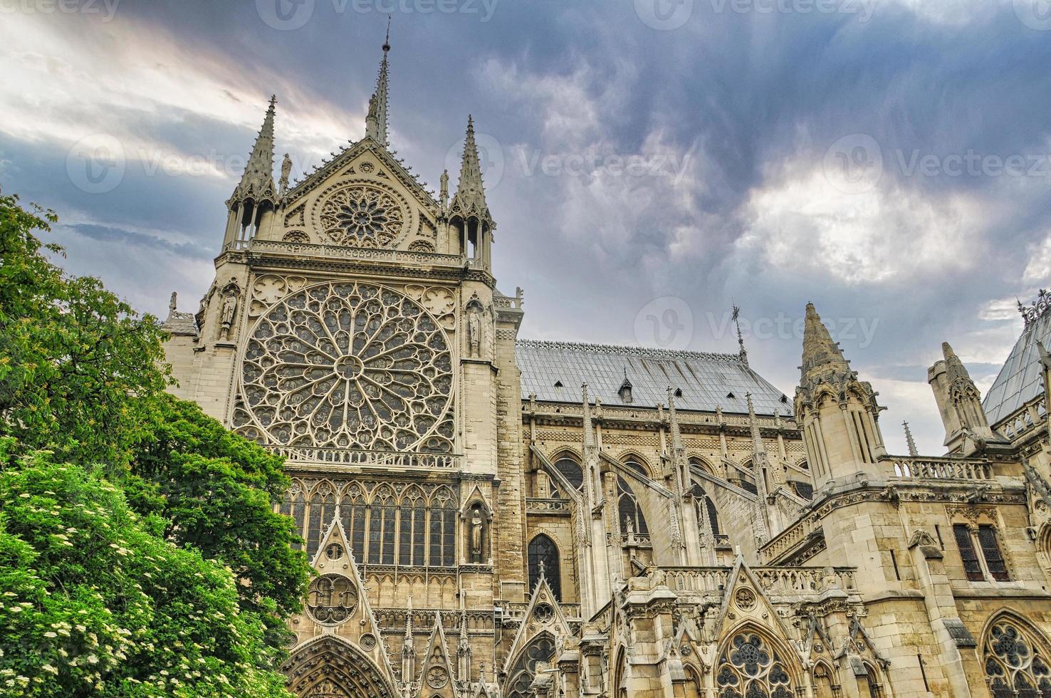 Cathedral notre dame in Paris photo