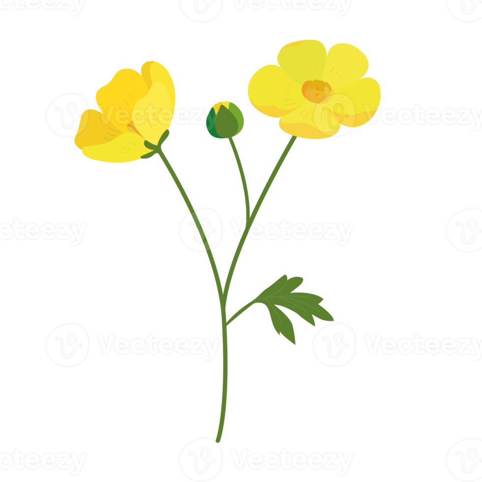 flower element cartoon in flat style png