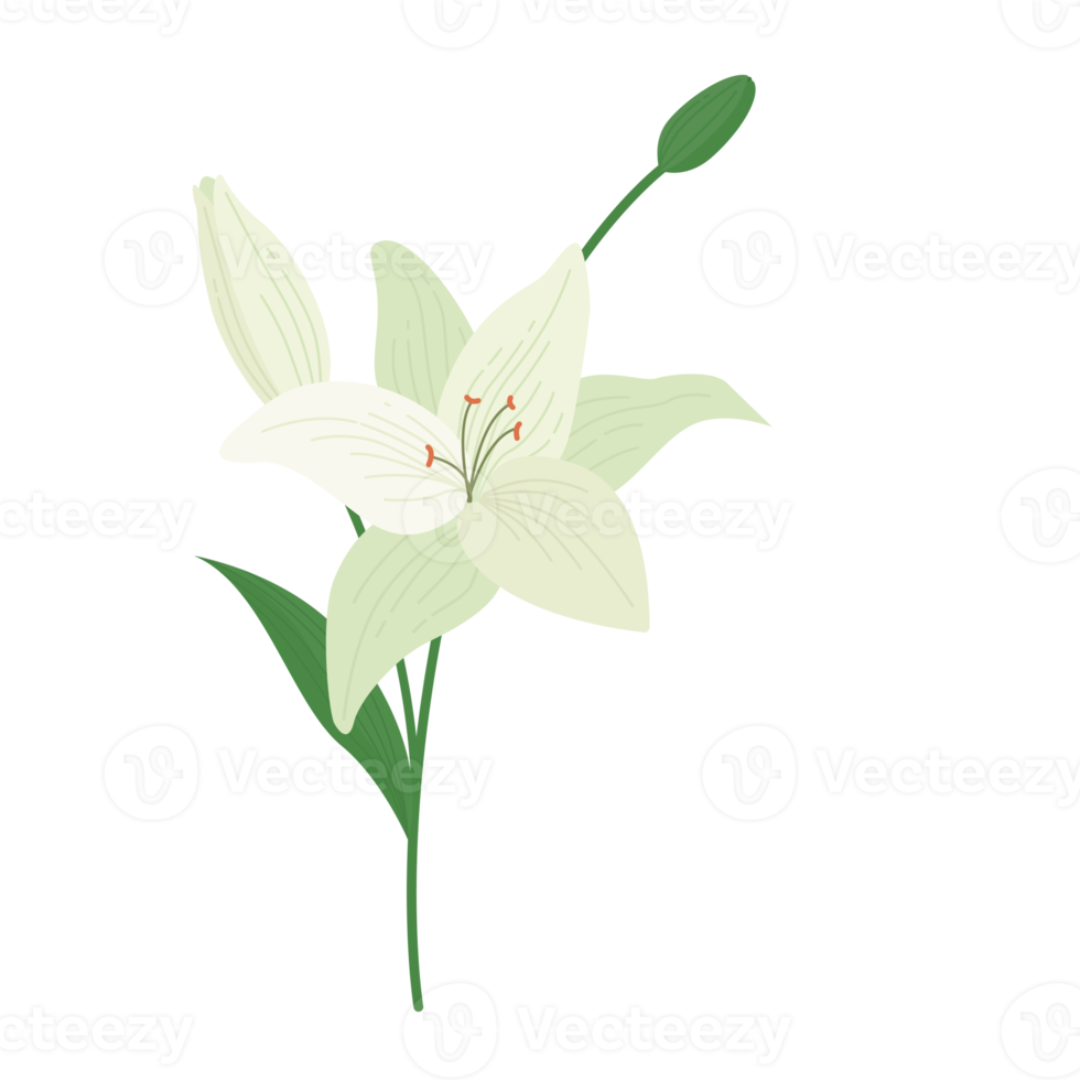 flower element cartoon in flat style png