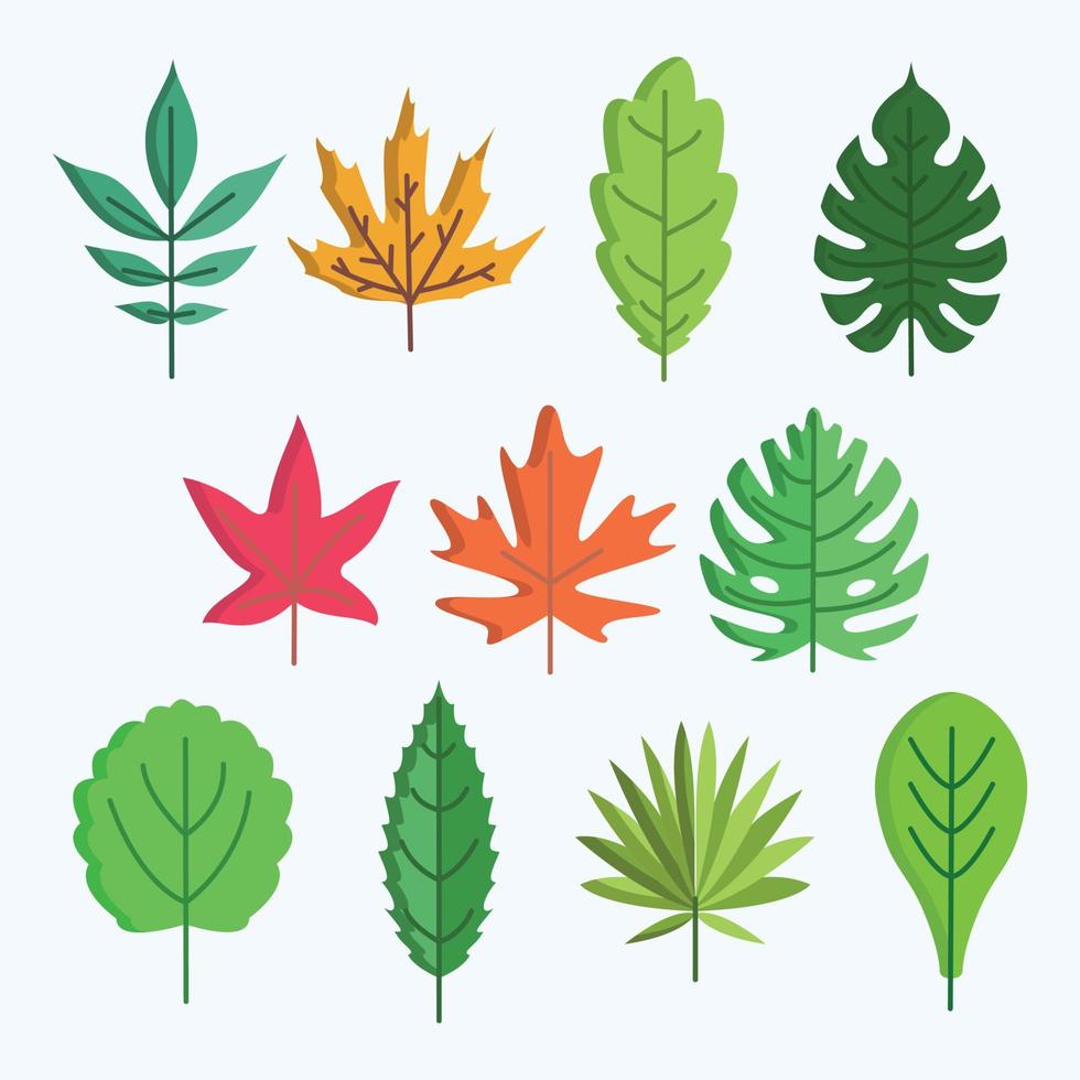 Leaves set illustration vector