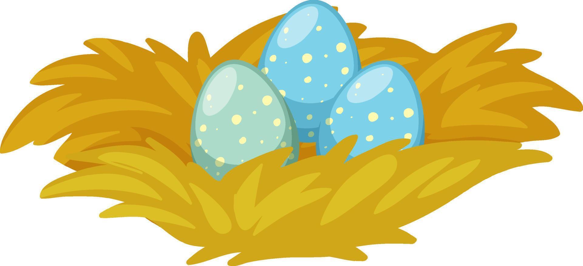 Three eggs on nest on white background vector
