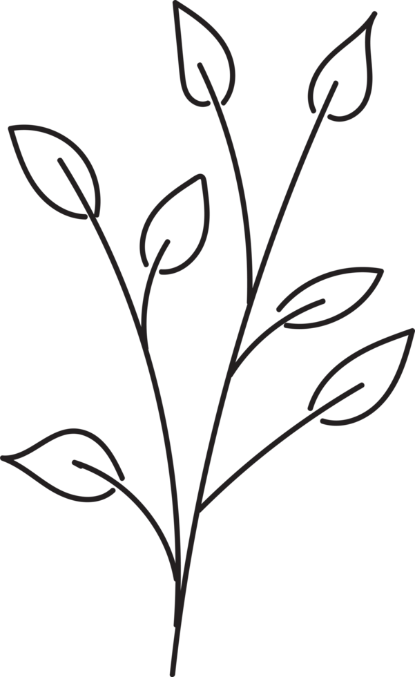 handgetekende bloemen lineart, bladeren element illustratie voor ontwerp png