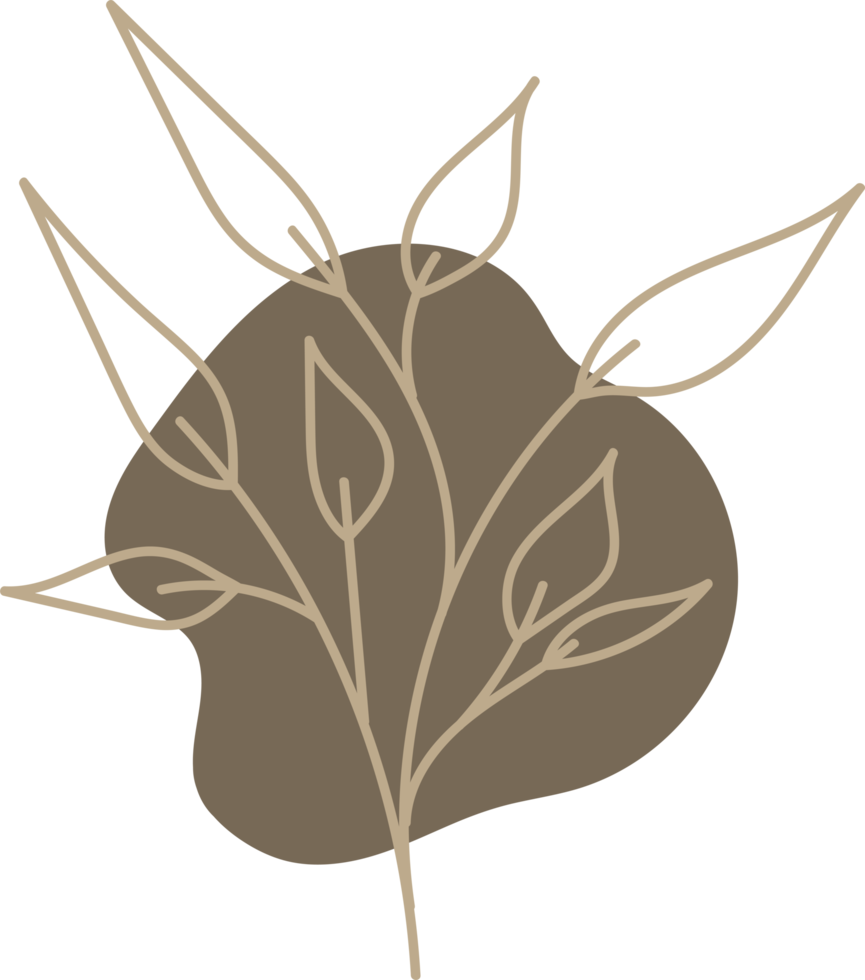 lineart floral dessiné à la main avec une forme organique, illustration d'élément de feuilles pour la conception png