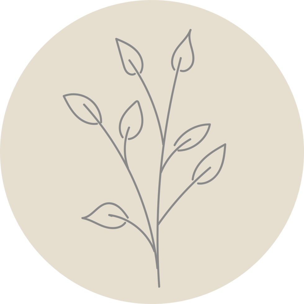 Floral icon with pastel color, Flower minimal illustration png