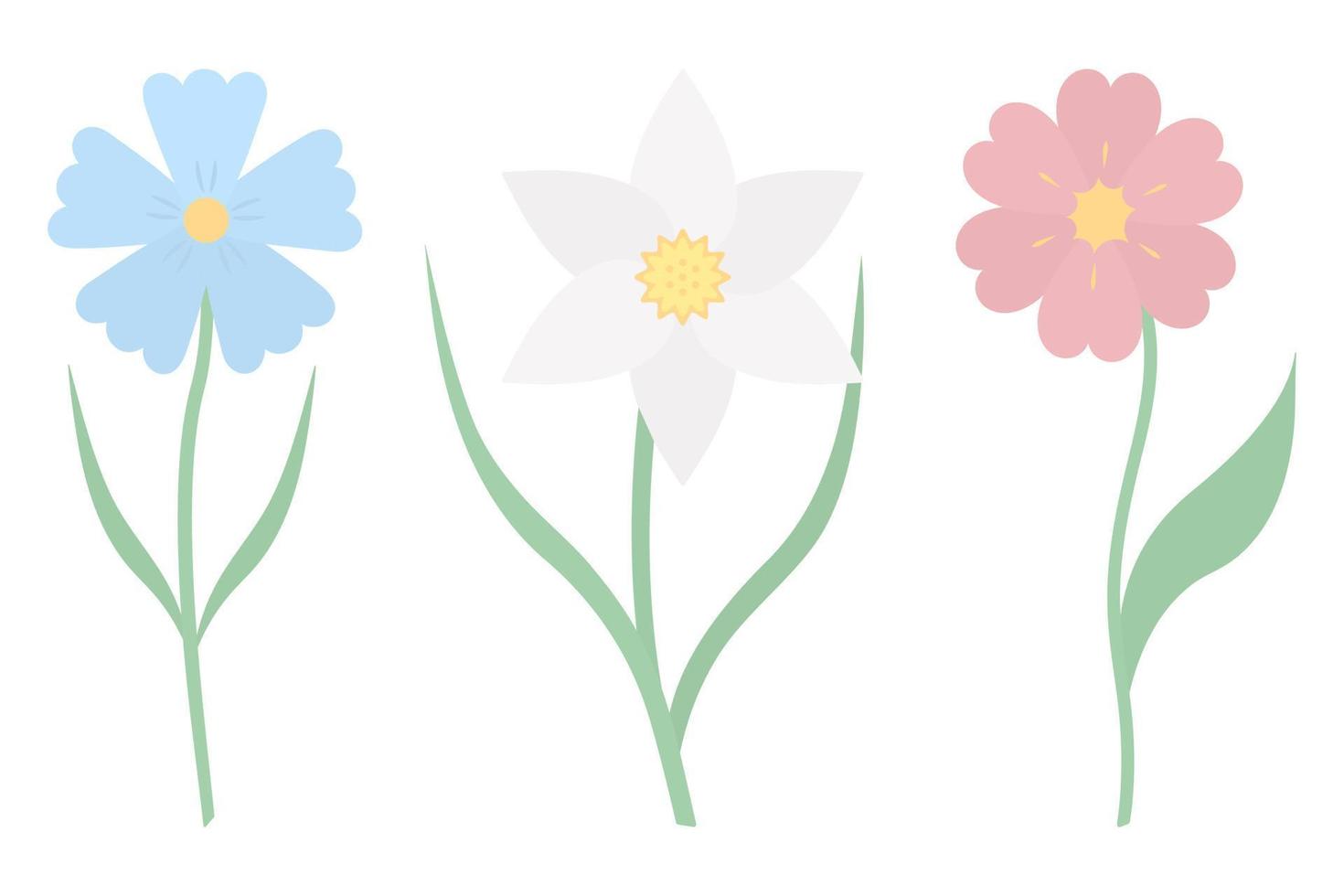 Flowers. Set of vector illustrations. Cornflower, daffodil. Delicate plants with green leaves. Flowering plants with a yellow heart. Flat style. Isolated background