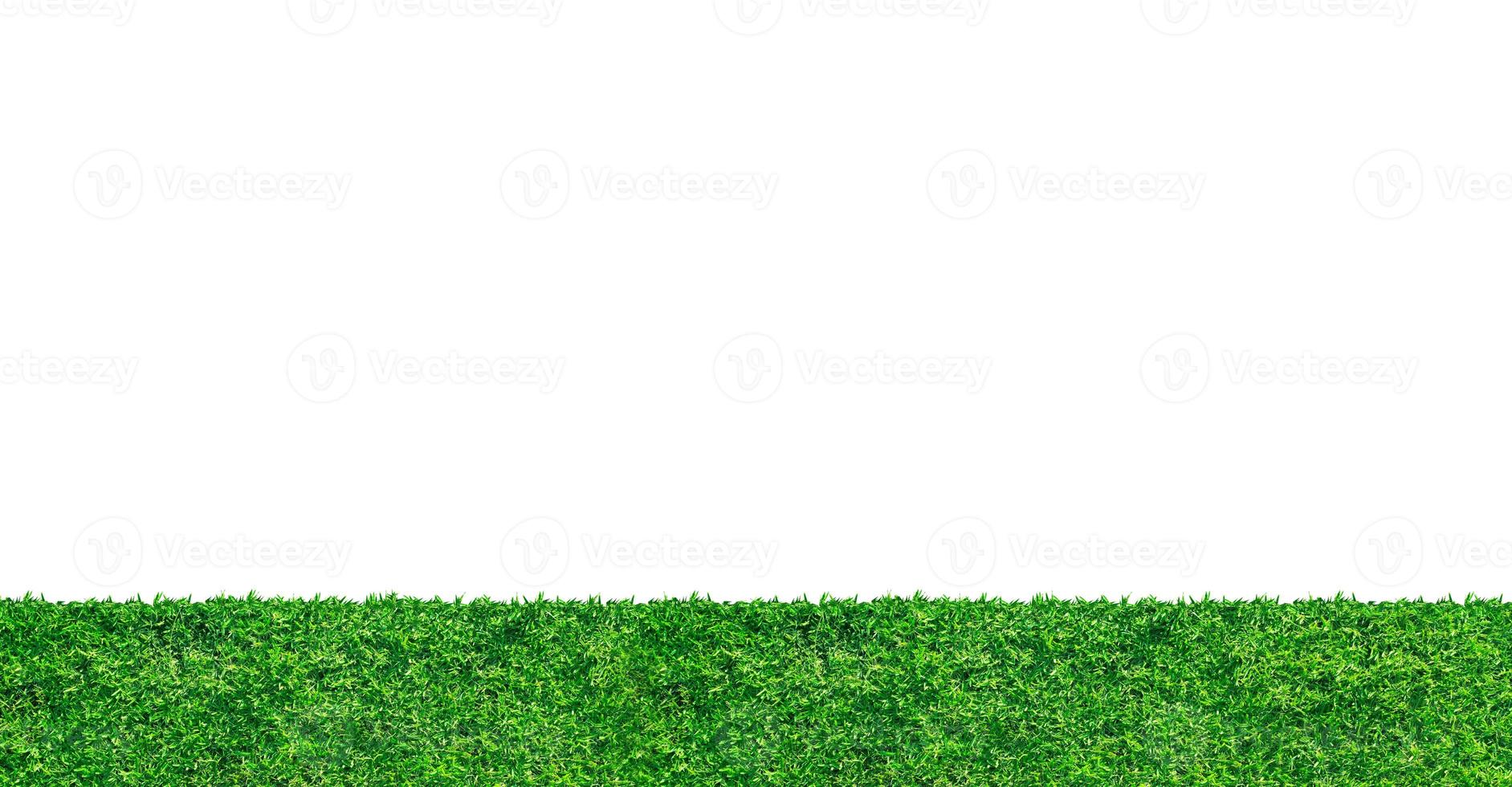 background of fresh spring green grass, Isolated On White photo