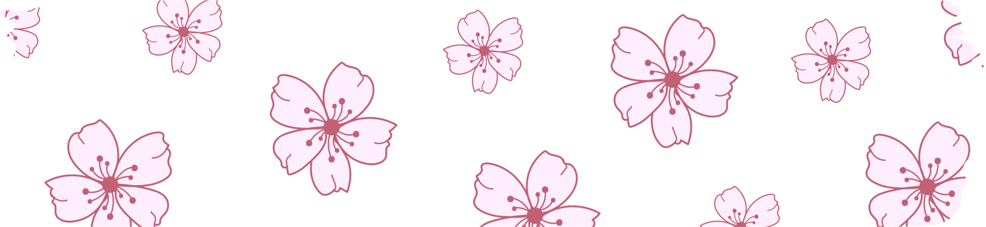 Washi tape with sakura or cherry blossom pattern, Washi tape sakura design illustration png