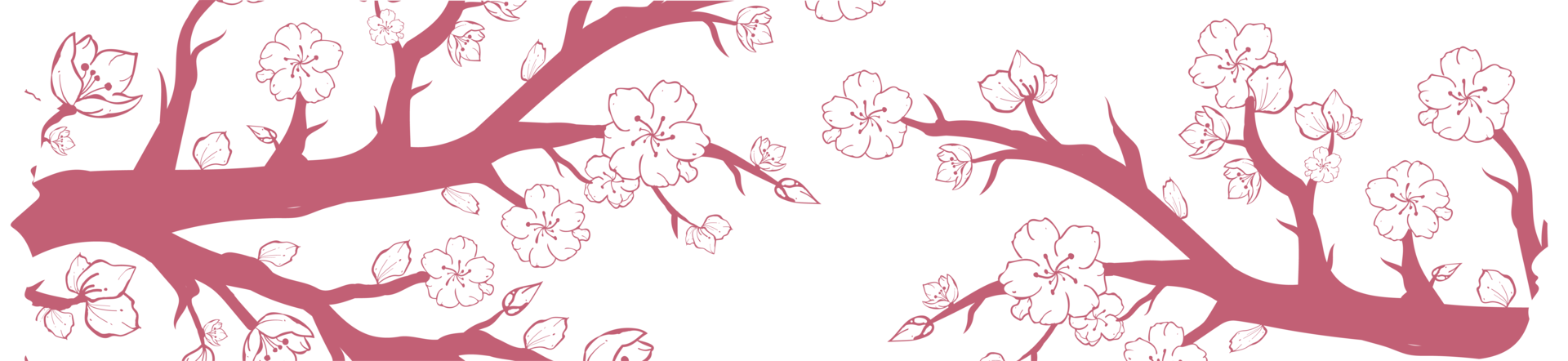 Washi tape with sakura or cherry blossom pattern, Washi tape sakura design illustration png