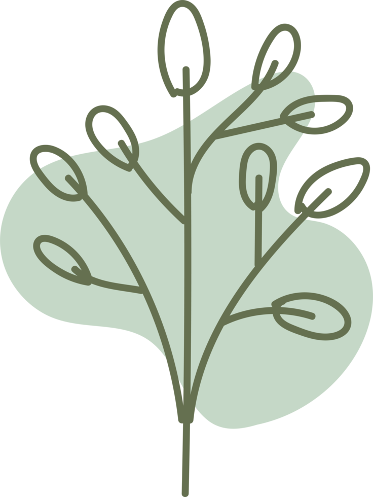 handgezeichnete florale Lineart mit organischer Form, Blattelementillustration für Design png