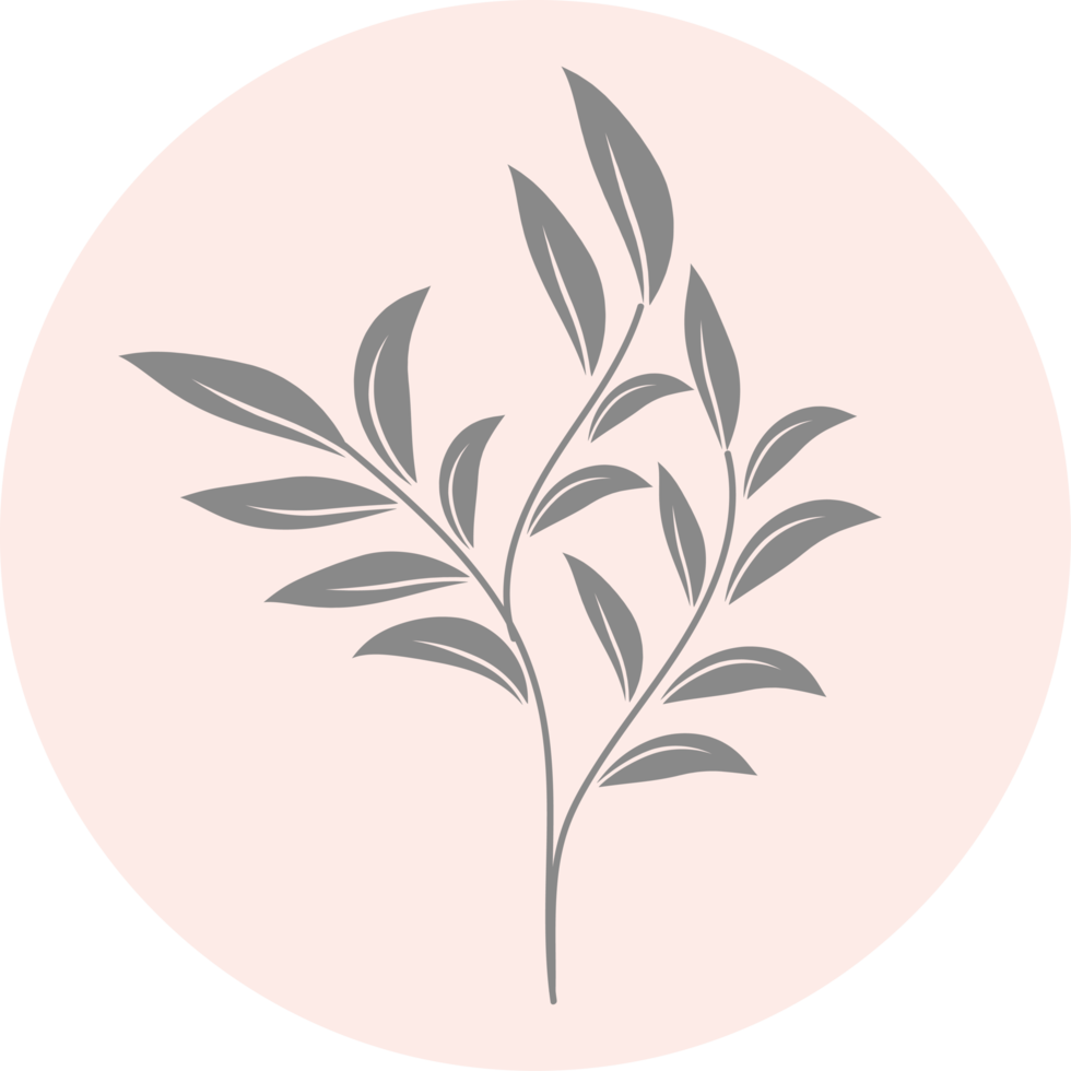 Floral icon with pastel color, Flower minimal illustration png