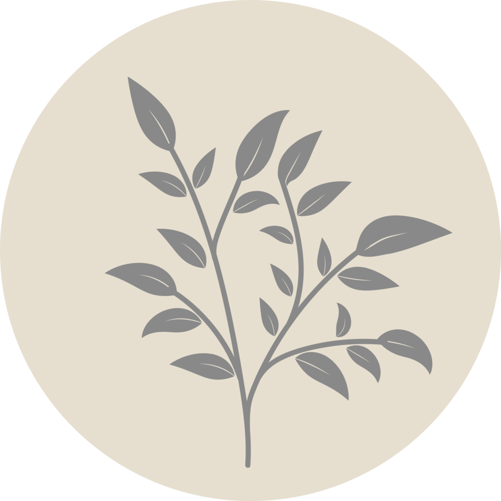 Floral icon with pastel color, Flower minimal illustration png