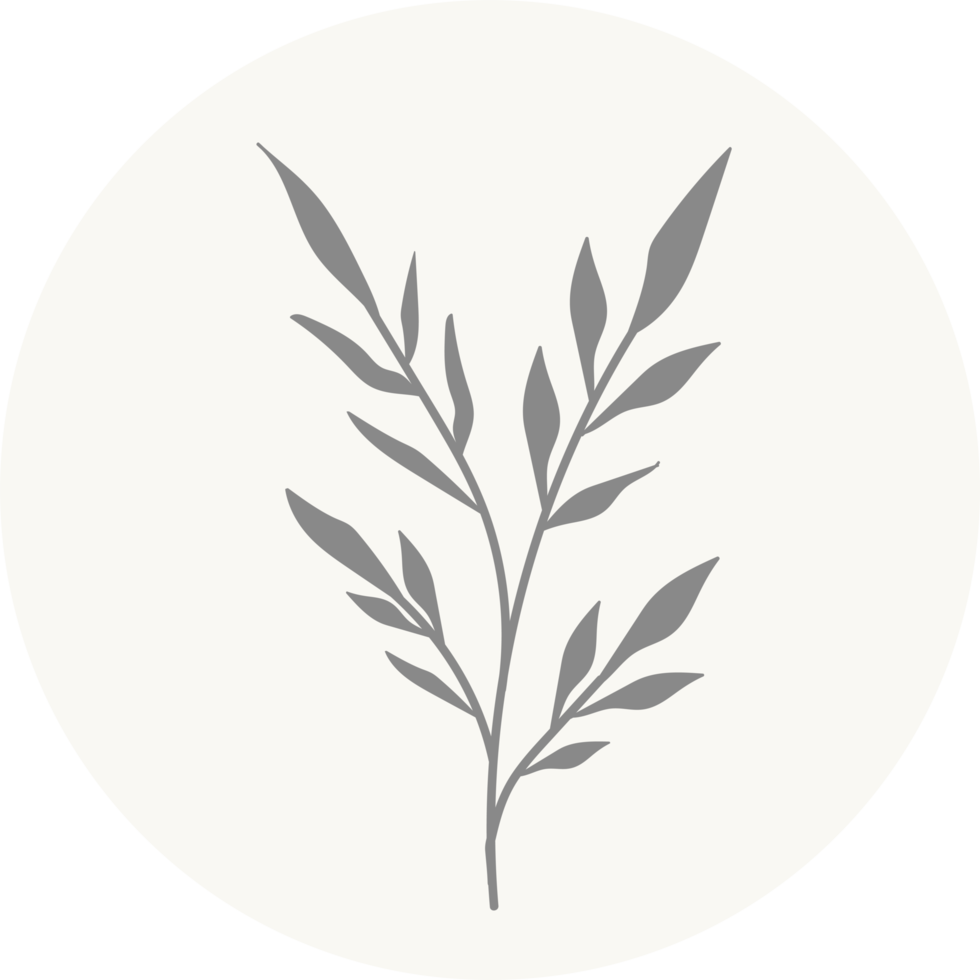 Floral icon with pastel color, Flower minimal illustration png