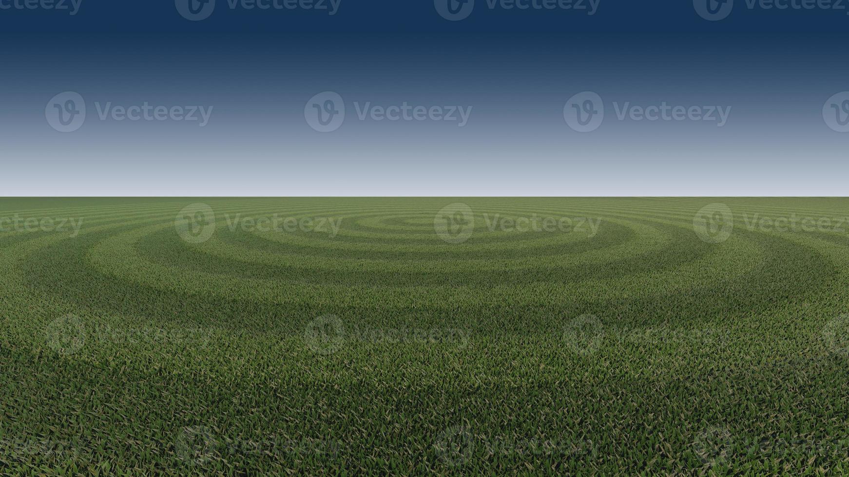 Green grasses field background for soccer , footbal photo