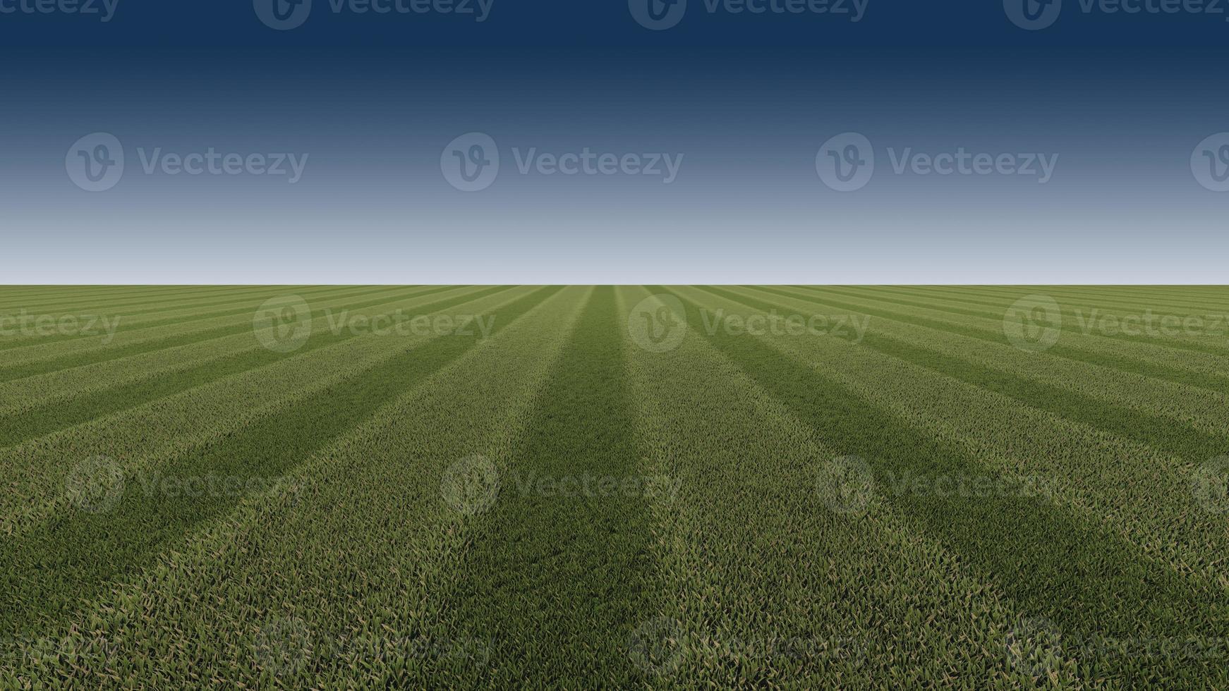 Green grasses field background for soccer , footbal photo