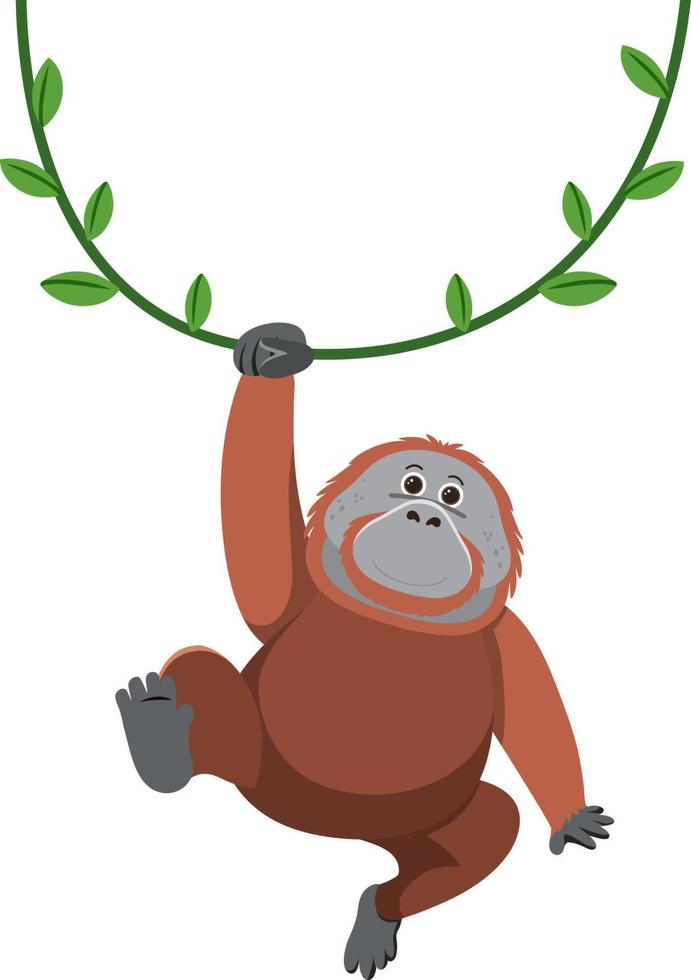 Orangutan hanging on liana vector