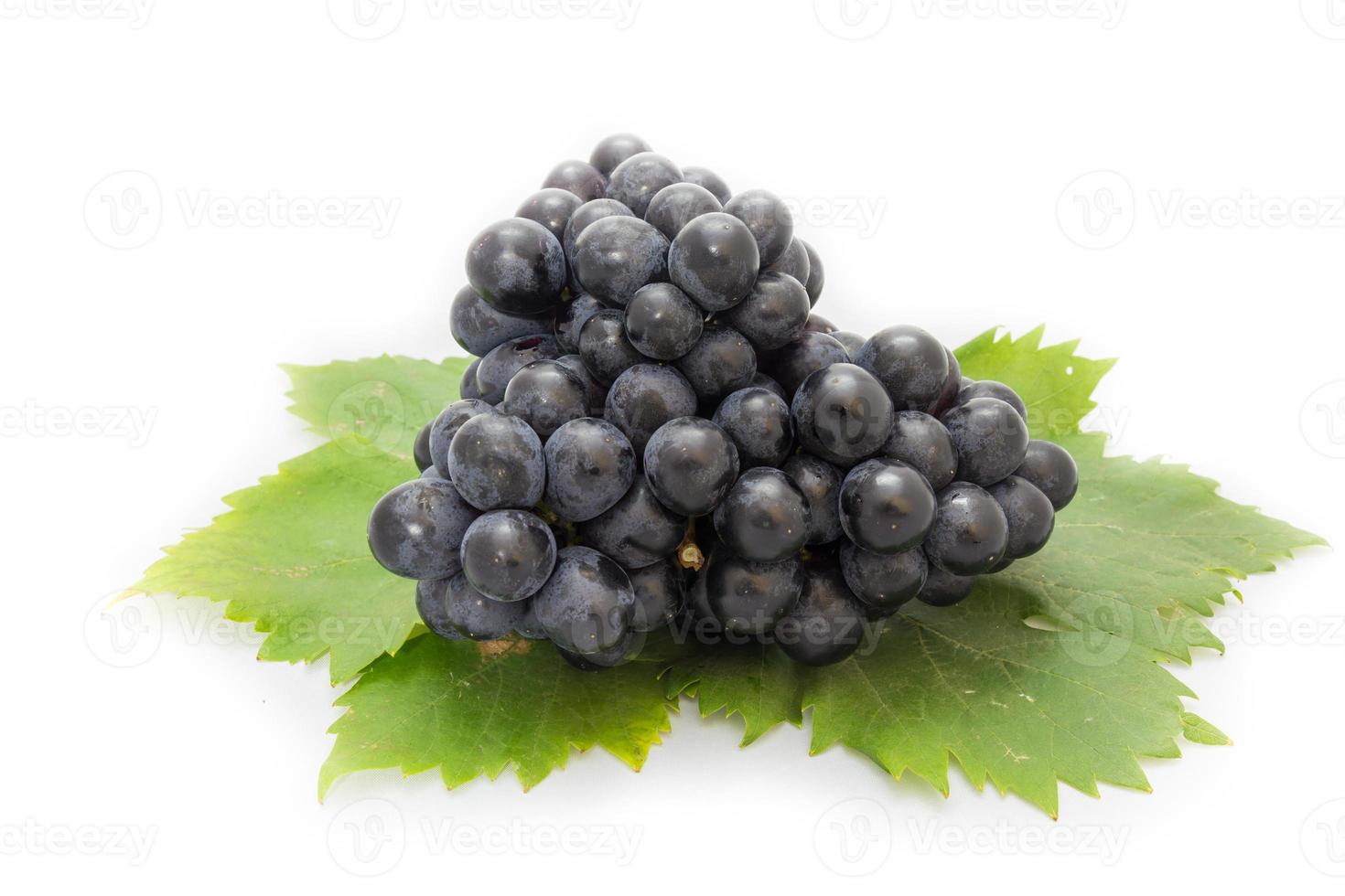 Black grapes bunch isolated on white background with green leaf package design element photo