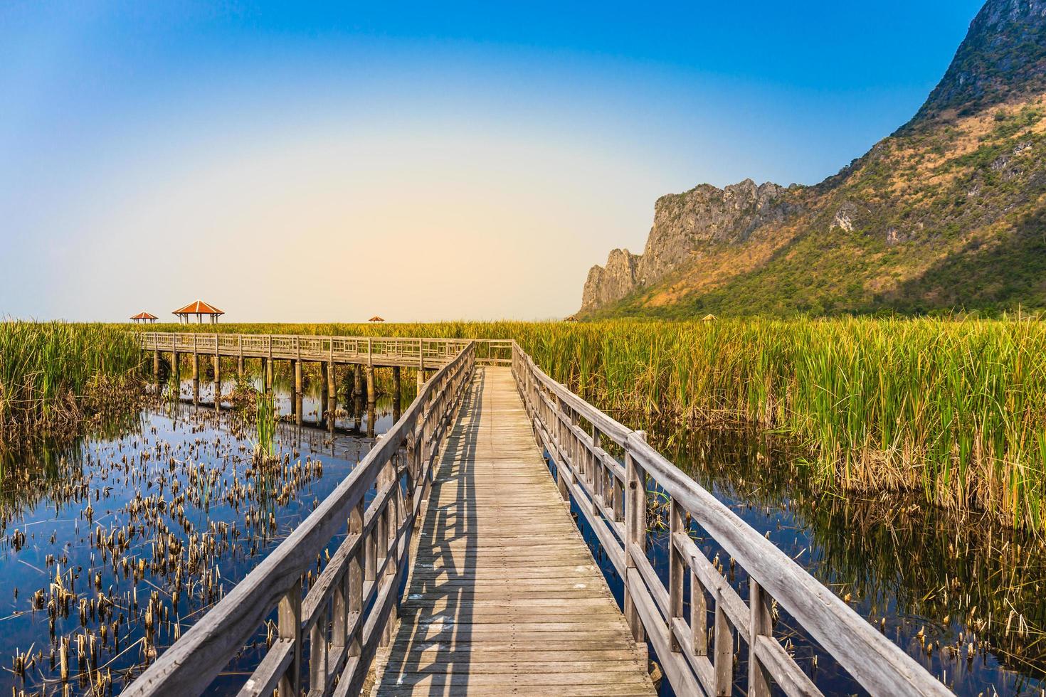 Beautiful landscape of wooden bridge walkway in swamp with grass field with blue sky mountain range background in Khao Sam Roi Yot National Park, Kui Buri District, Prachuap Khiri Khan, Thailand photo