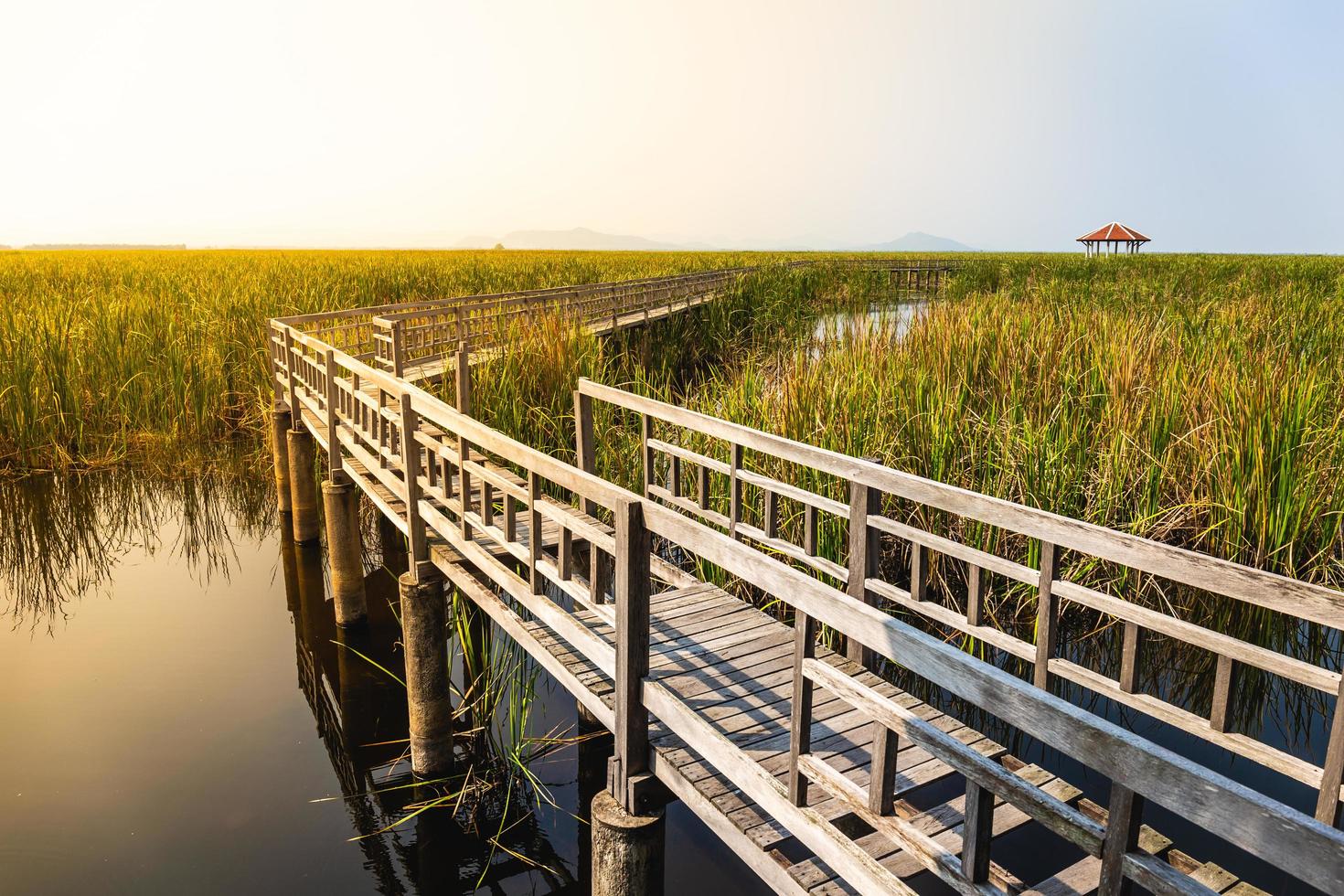 Beautiful landscape of wooden bridge walkway in swamp with grass field with blue sky mountain range background in Khao Sam Roi Yot National Park, Kui Buri District, Prachuap Khiri Khan, Thailand photo