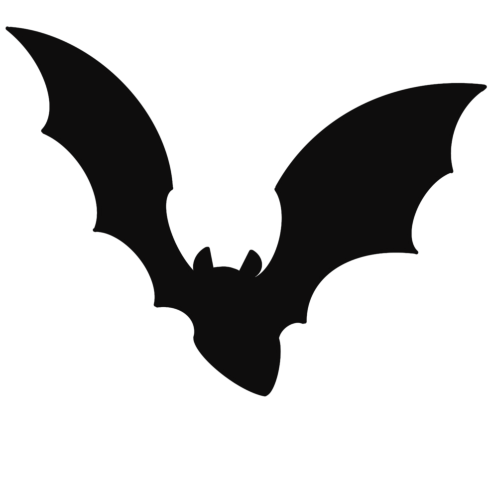 Halloween bat png images