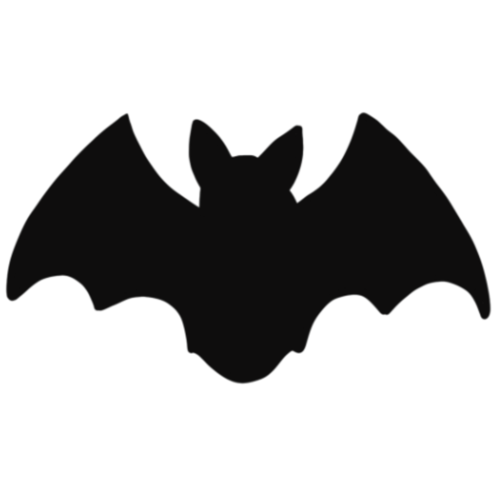 Halloween Spooky Bat png