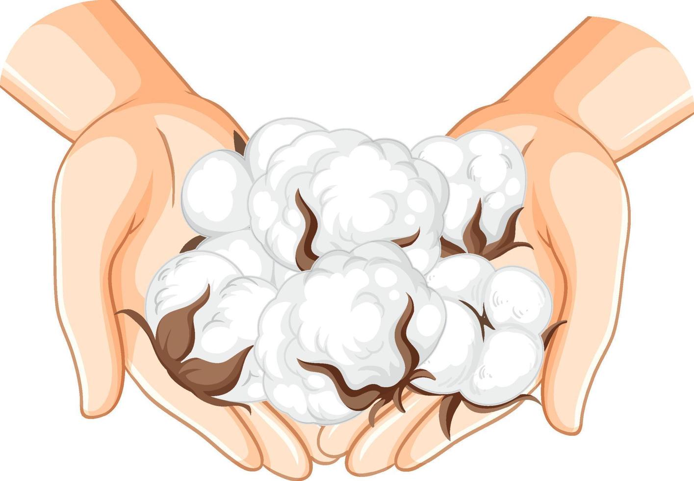 Cotton on human hands vector