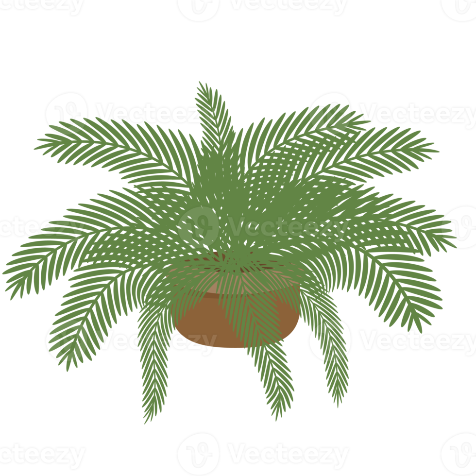 Ornamental plant in a pot vector png