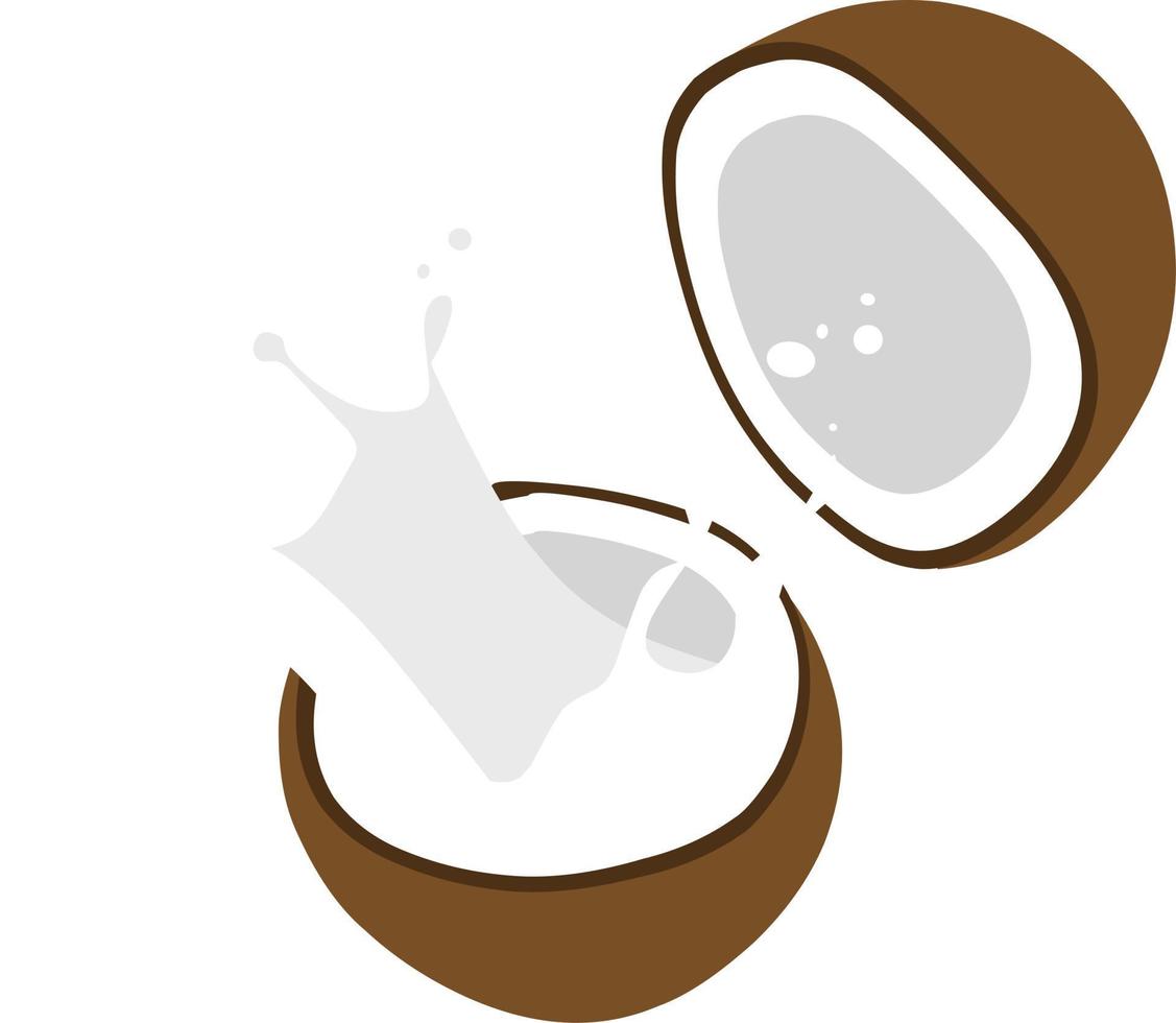 cool Coconut fresh vector