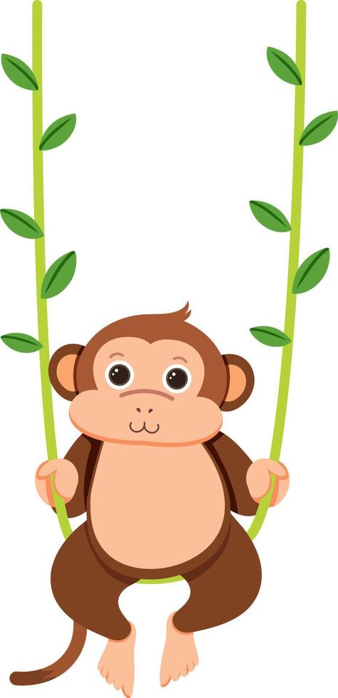 Monkey hanging on liana vector
