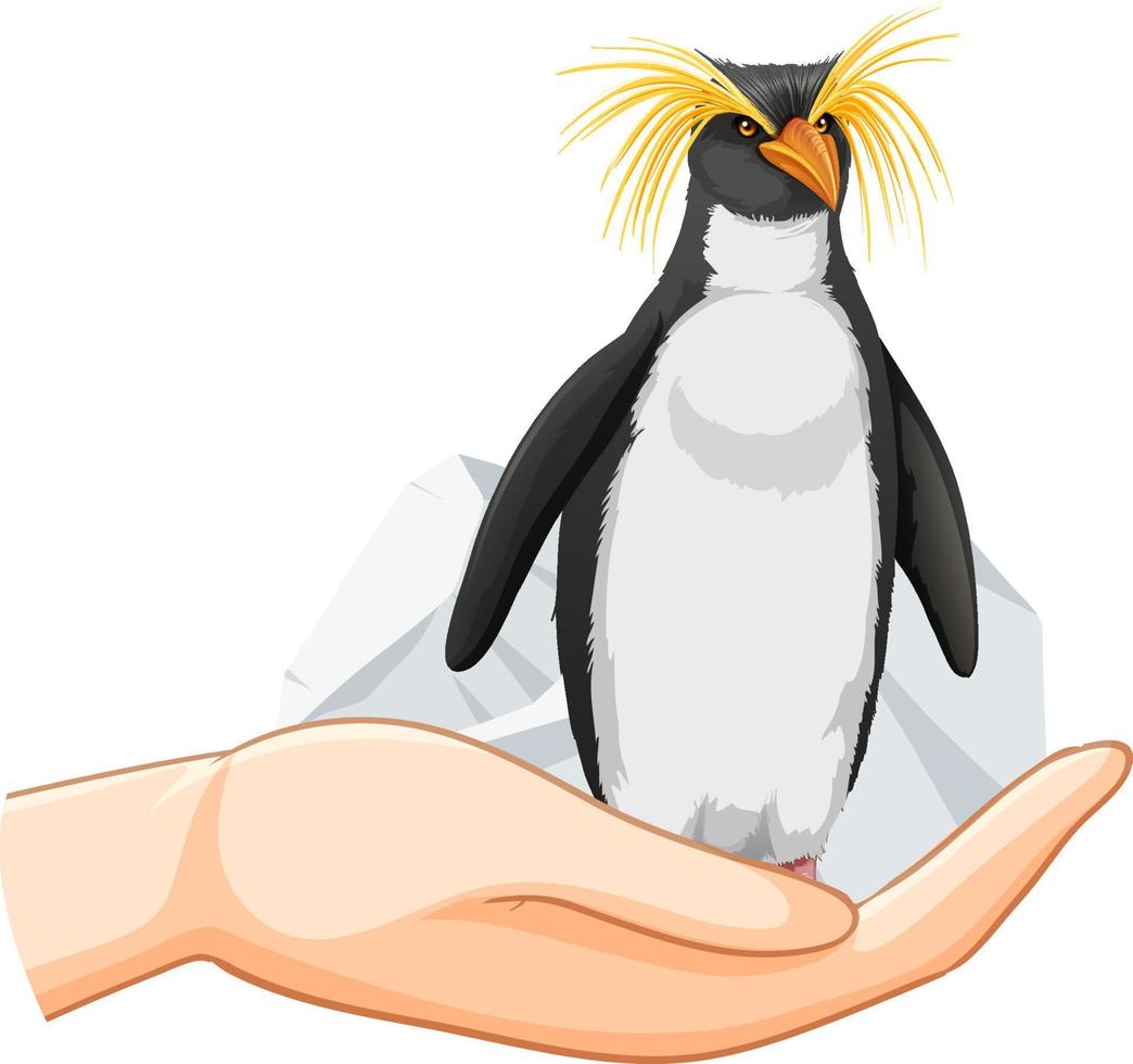 pingüino penacho amarillo de pie en la mano humana vector