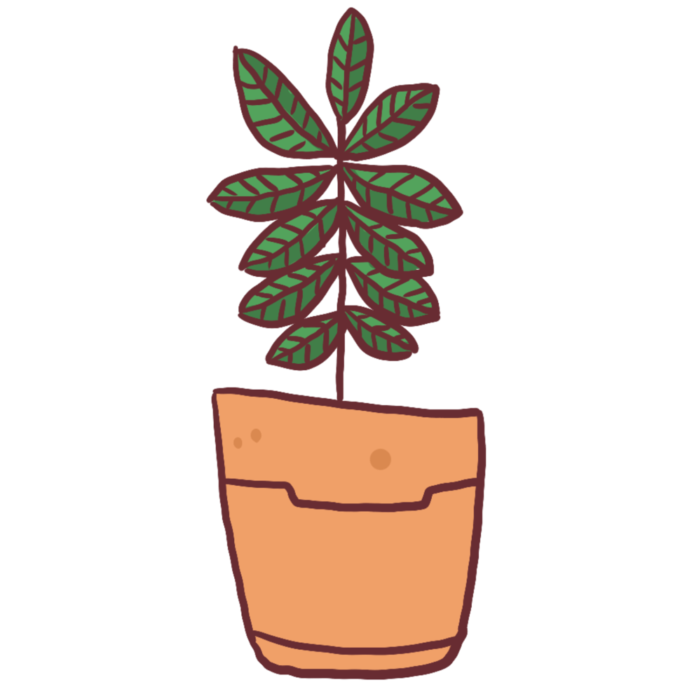 icono de planta en maceta png