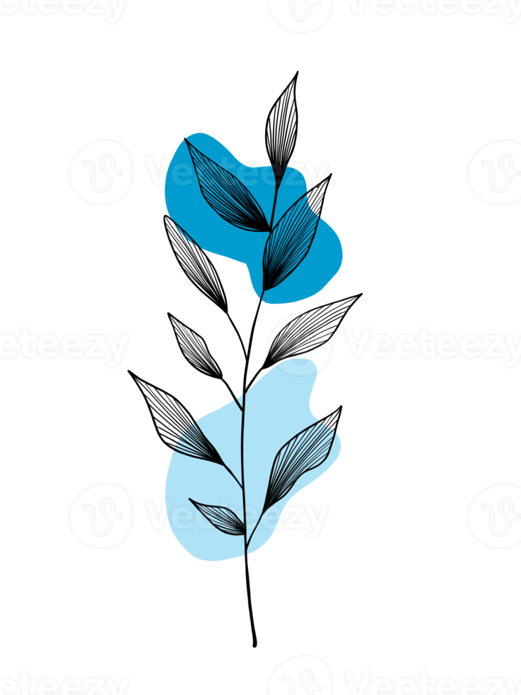 laat kunst aan de muur. botanische lijntekeningen met blauwe abstracte vormen. minimalistische stijl. natuurlijk begrip. png