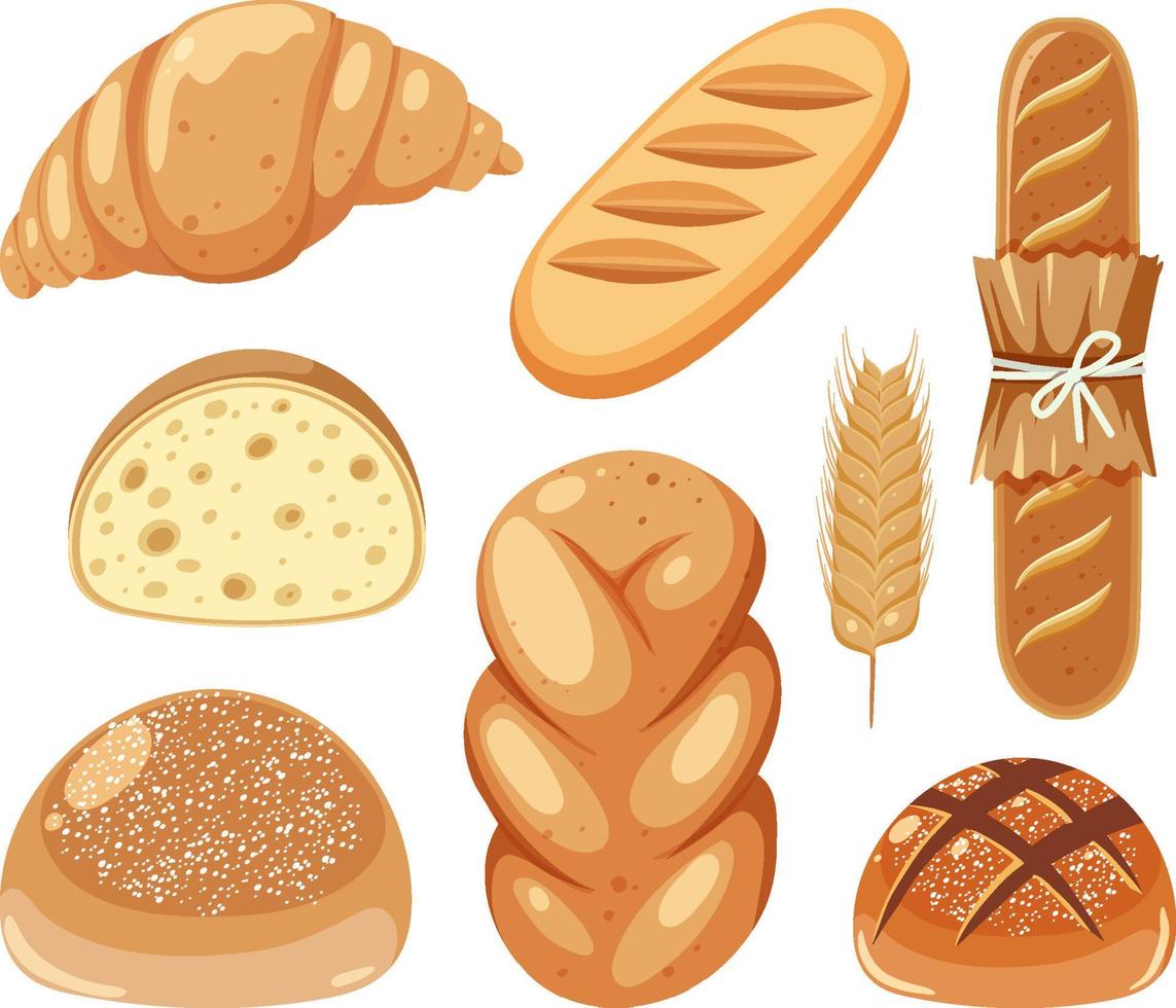 Set of different breads vector