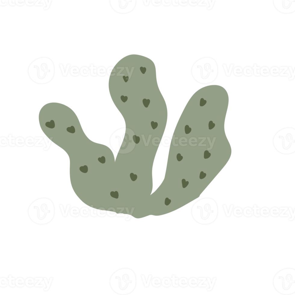 grafica cactus verde png