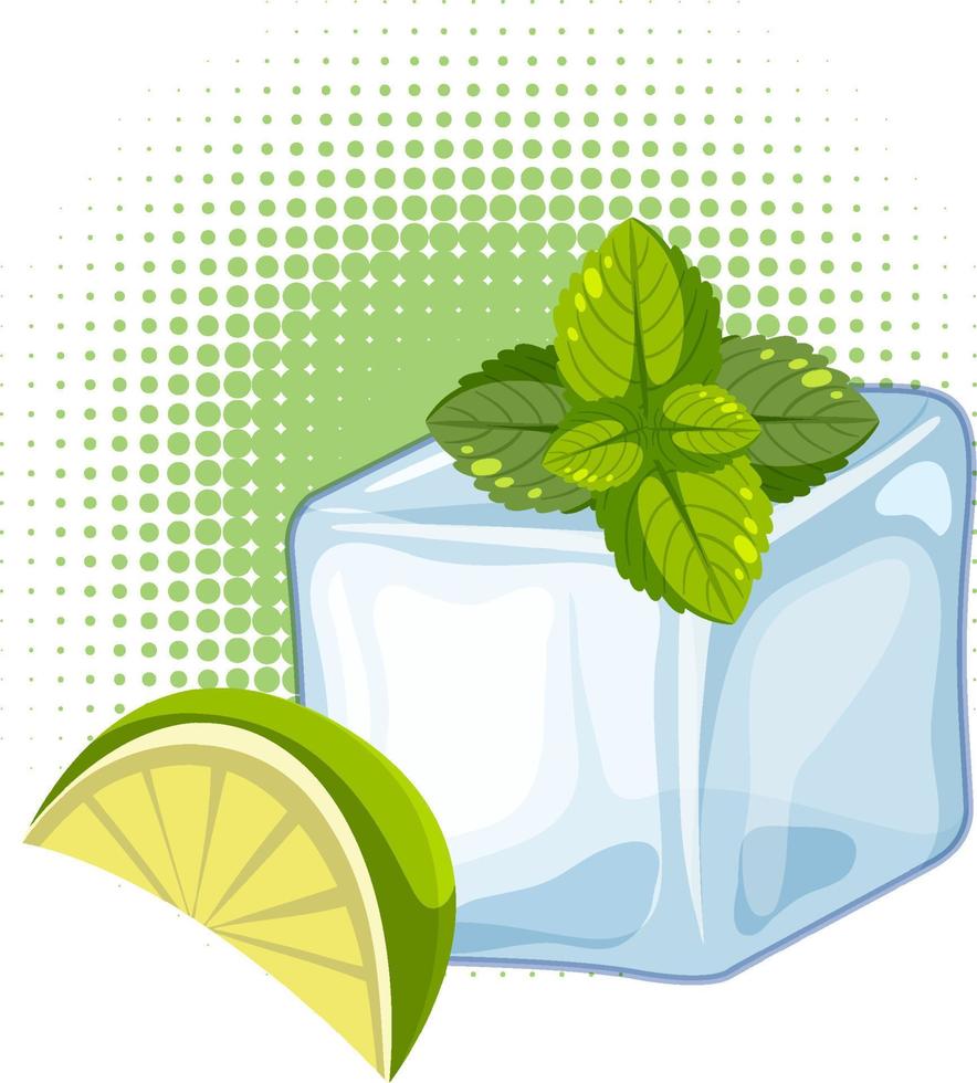 Ice cube with lime sliced and mint leaf vector
